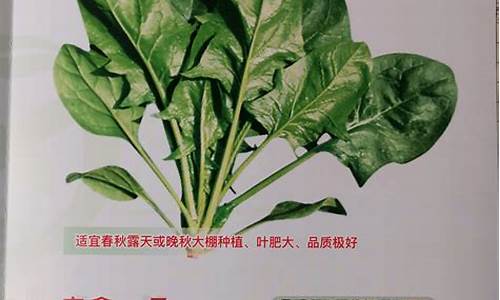 菠菜注册网：菠菜排名网(外国菠菜公司排名) (2)